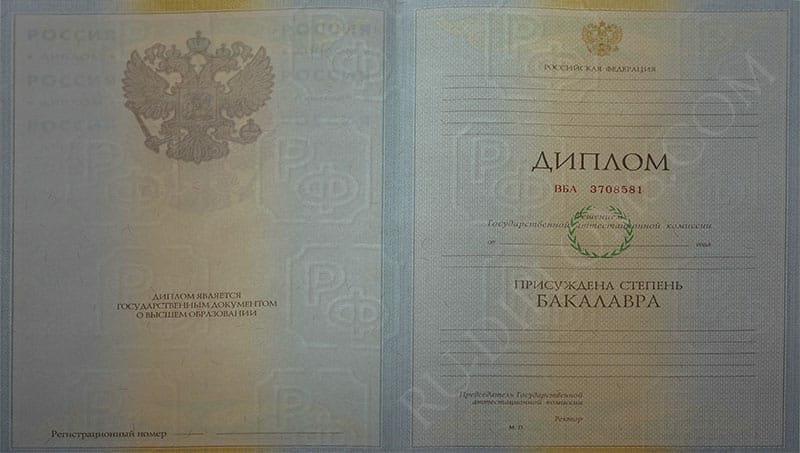 Диплом бакалавра 2004-2009 год  